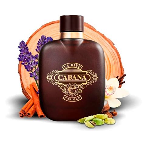 cabana versace|la rive cabana cologne.